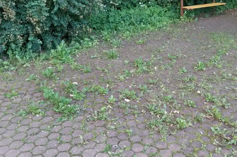 Foto 3