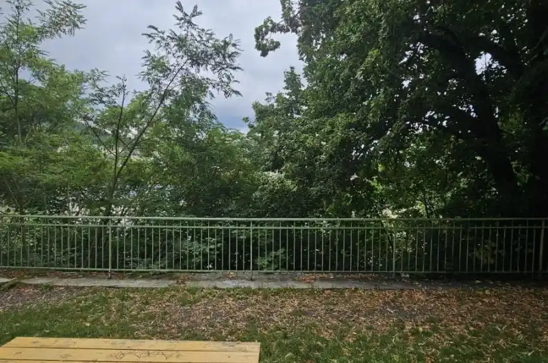 Vyhlídka