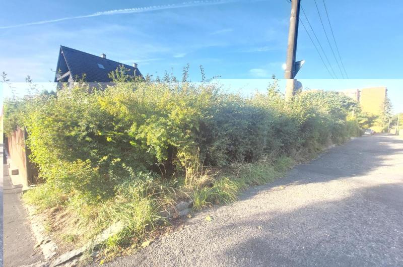 ořez a snížení výšky keřů pod úroveň výšky plotu vlastníků Mánesova 570/2, ořez objemu i do ulice Baarova, vyřezat i přístup k el. sloupku zarostlému v křoví a nyní nedostupný