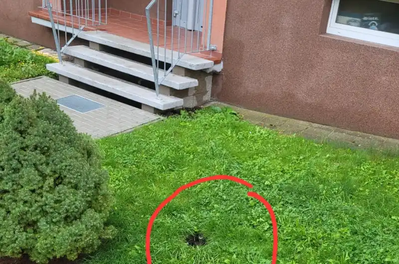 Díra s potkany
