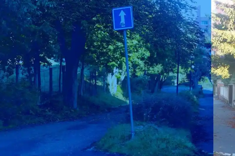keře u domu Mánesova 570/2