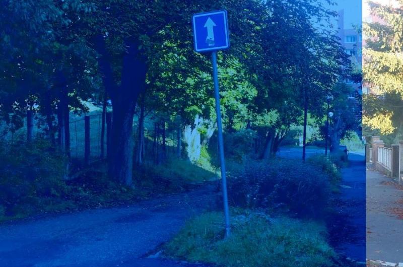 keře u domu Mánesova 570/2