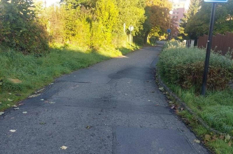 ořezat větve a náletové stromy kolem pozemku Slavie