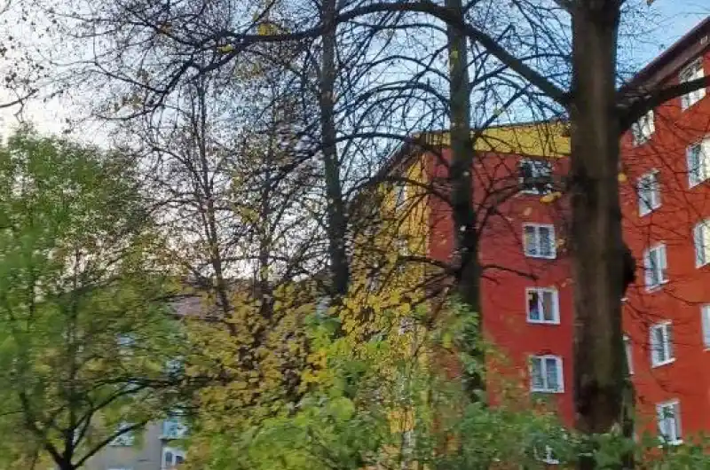 větve visí na chodníkem a výřez keřů, aby bylo možno jednou poklidit
