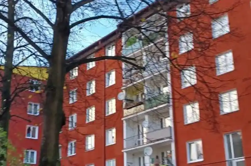 suché větve nad vozidly