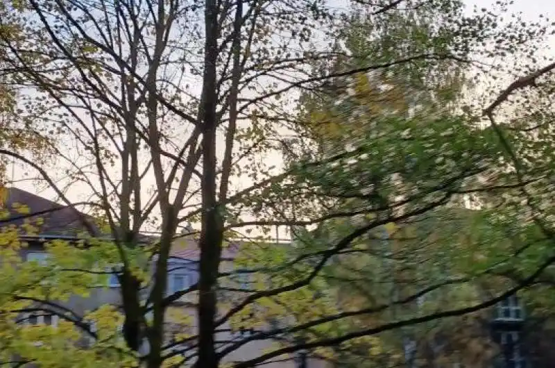 a myslíme tím celý park roky tady nikdo nebyl prořez by si to zasloužilo