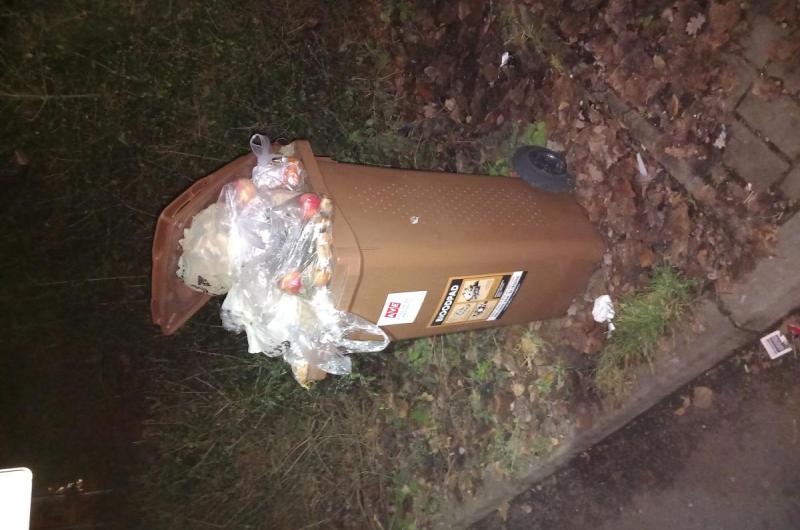 Bio - Fibichova ulice 