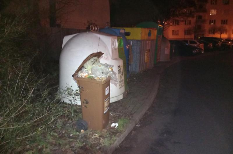 Bio - Fibichova ulice 