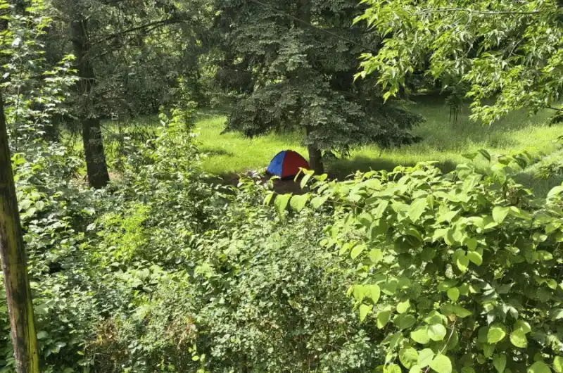 Nálety u plotu, stan