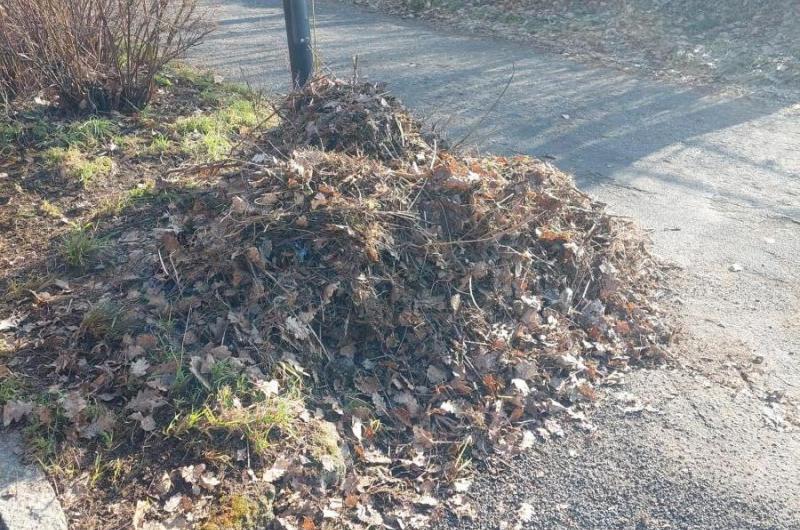 hromada listí a trávy k odvozu, na začátku ulice Mánesova u domu 570/2