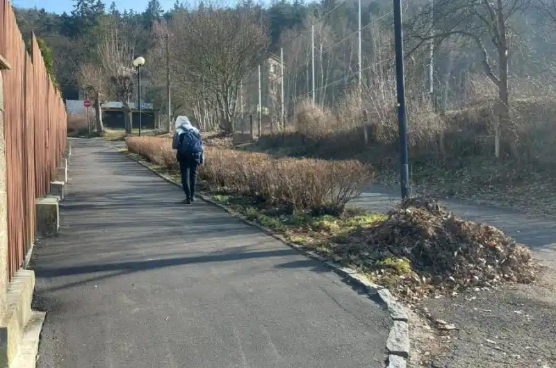 úklid městských prostor kolem keřů, prosím o odvoz bio odpadu