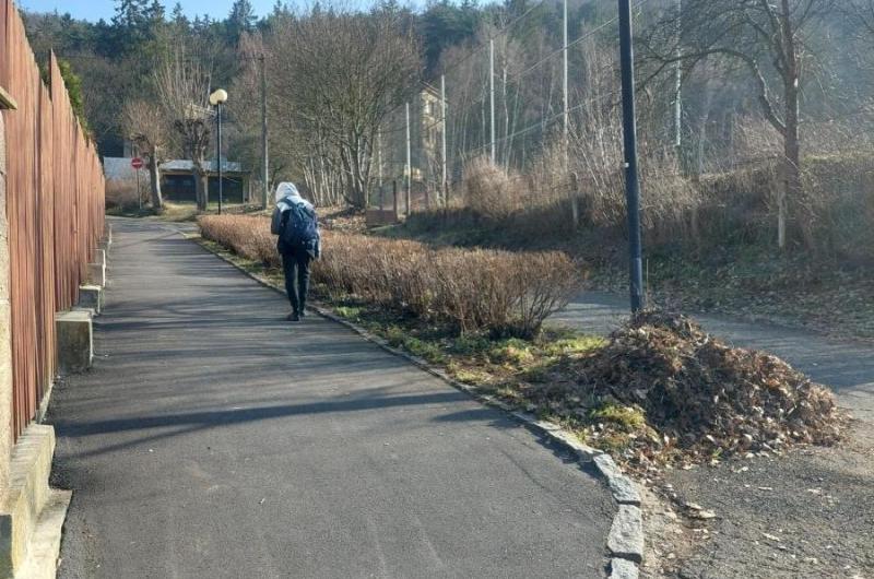 úklid městských prostor kolem keřů, prosím o odvoz bio odpadu