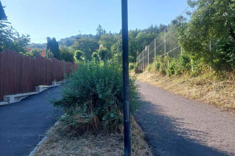 snížit min. o 0,5 výšku keřů, nejde vidět při výjezdu z Mánesovy ulice, hrozí srážka s cyklisty, vozidly