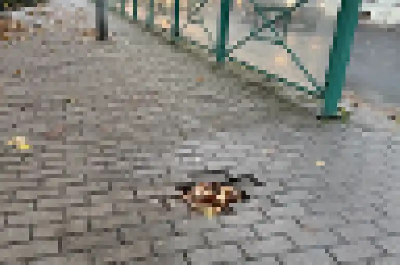 Propadlý chodník II.