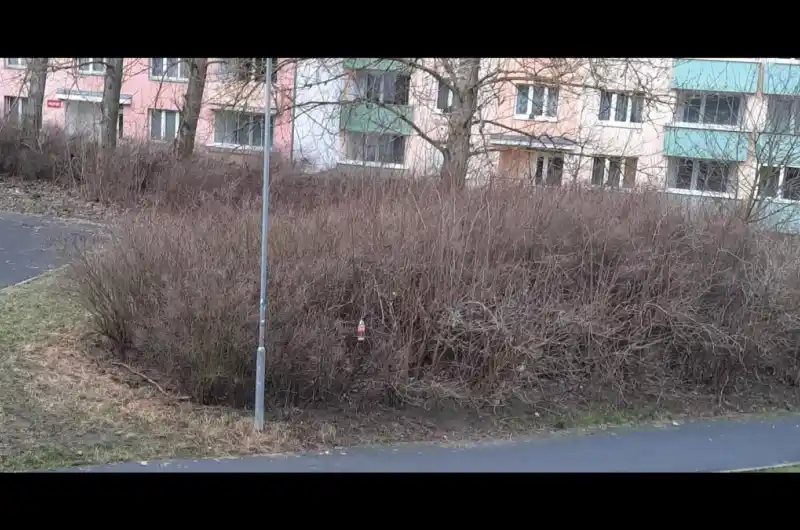 foto křoví kolem parcely č. 399/257 Rybáře