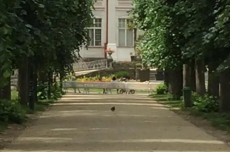 foto