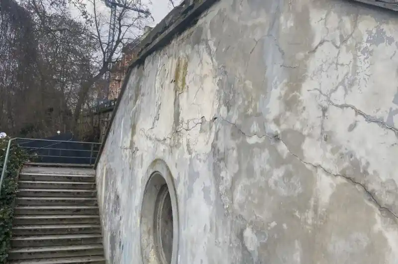 Zeď 