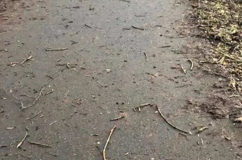 Cyklostezka Stará Role - Čankovská