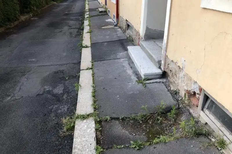 Prohluben