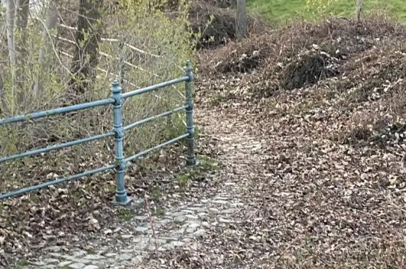 Park 