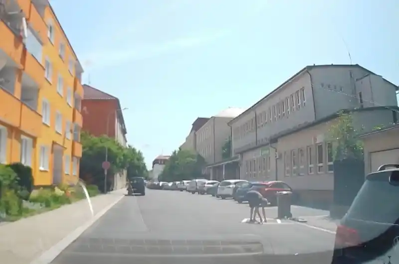 vdz