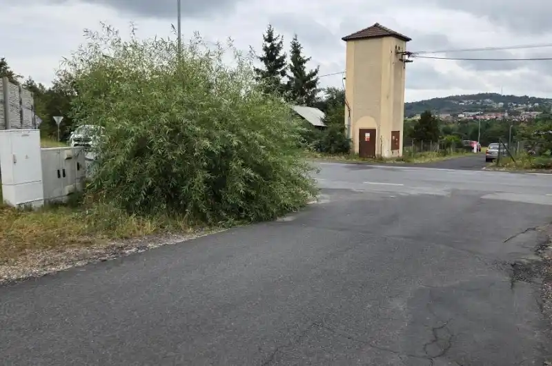 Keř ve vozovce