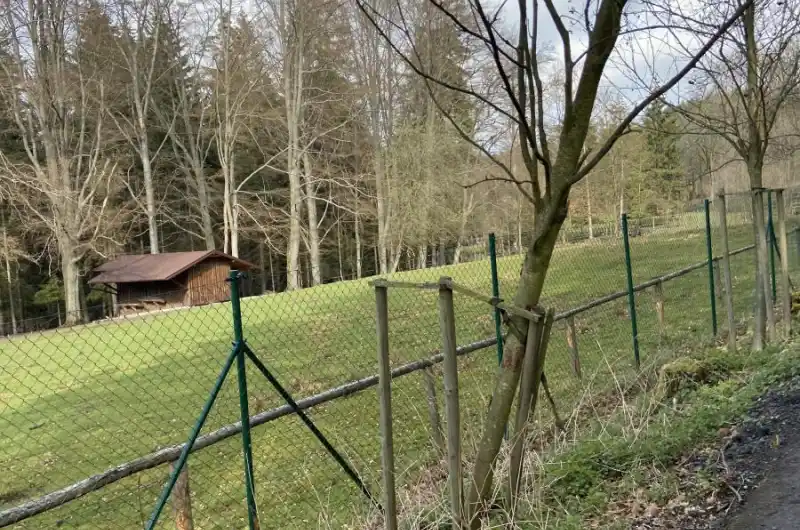 Linhart 