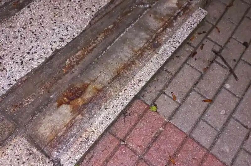 ulomený schod