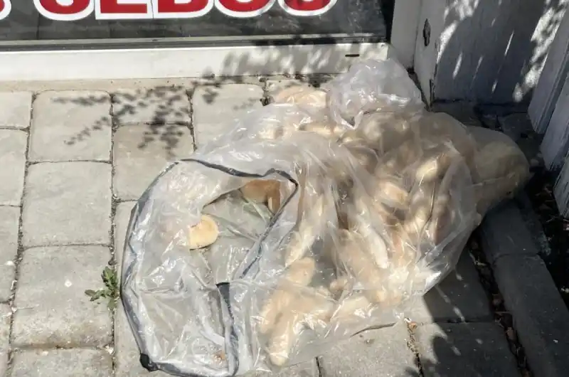 Bordel na zemi
