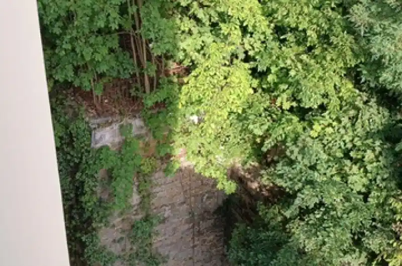 stromy nad opěrnou zdí, přístup z Poděbradovi ulice