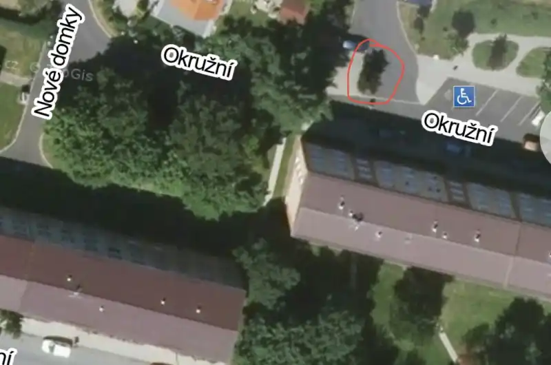 Keř zamezující výhled do křižovatky