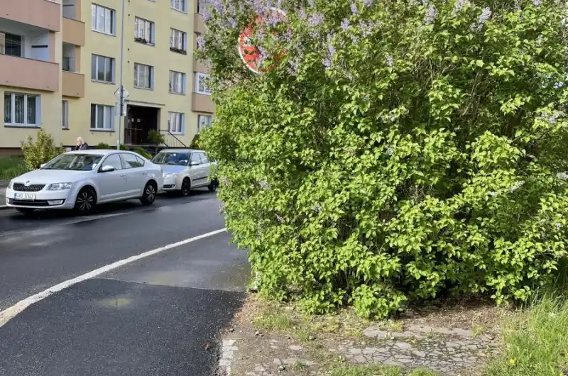 Keř