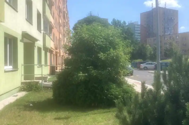 Keř