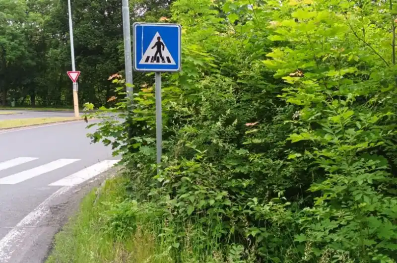 pohled řidiče