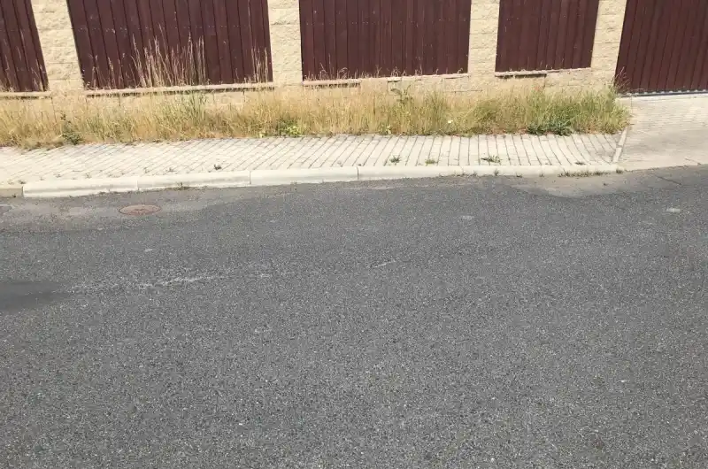 Vysoká tráva u plotu