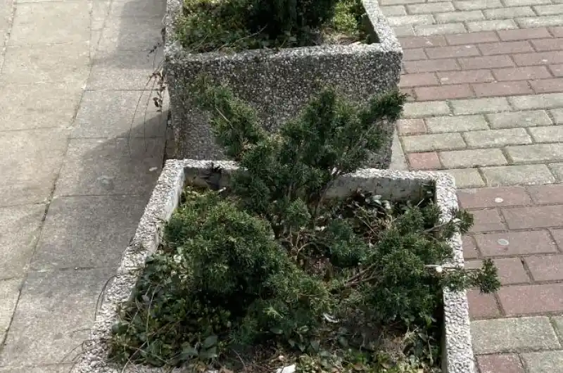 Květináče 