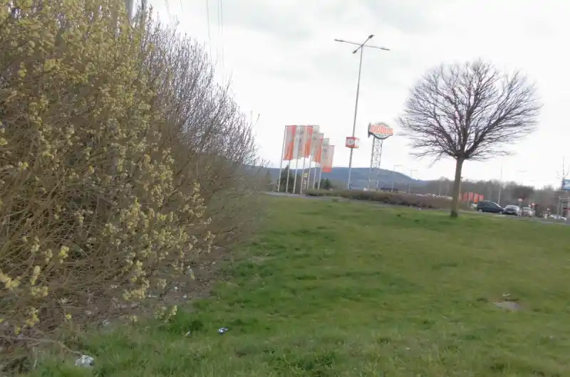 místo výskytu keřů vrby jívy mezi chodníkem a silnicí