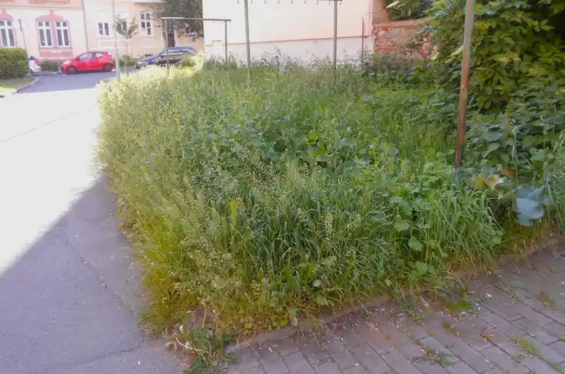 trávník Krymská ul.