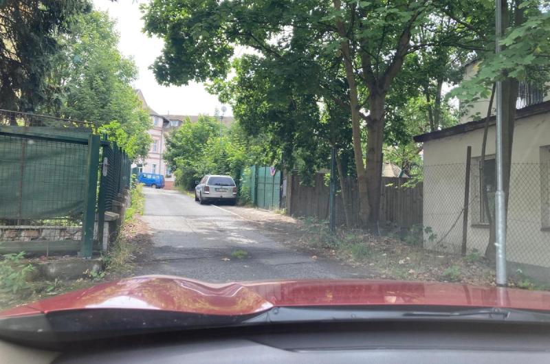 strom zasahující do komunikace