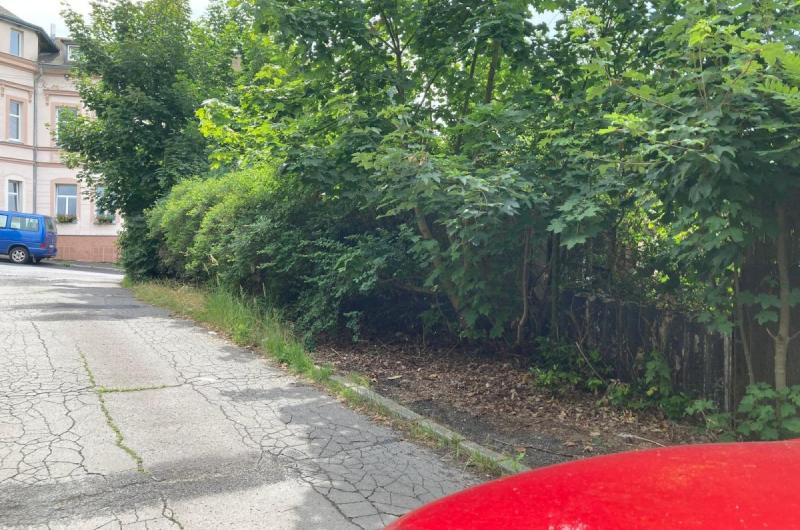 strom zasahující do komunikace