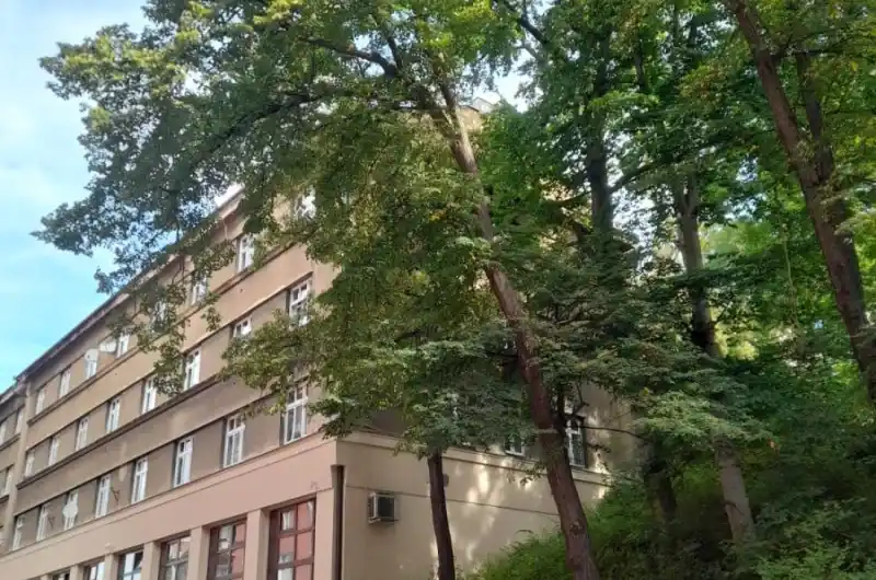 Fotka stromu