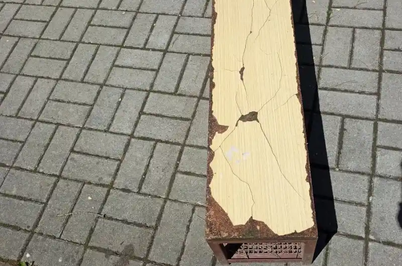 skolka