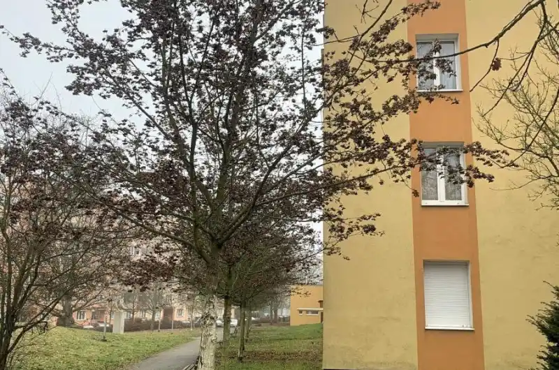 Řada javorů zasahuje do fasády