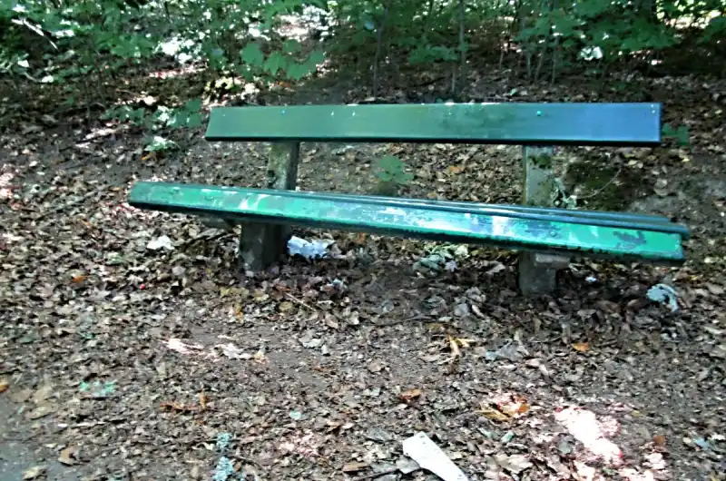 Nepořádek u laviček  v tuhnickém lese u velké louky