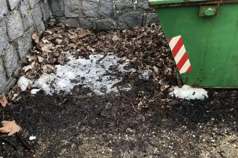 Nepořádek
