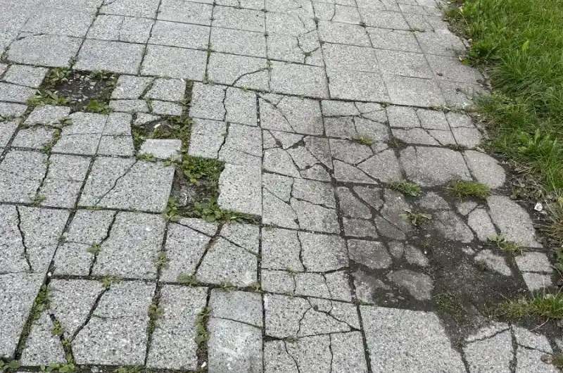 Před obchodem