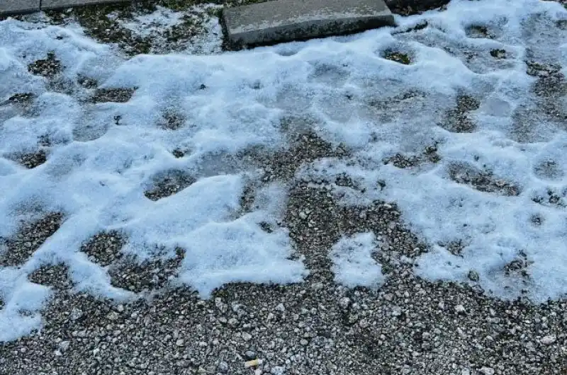 Nejaka stara dlazba 