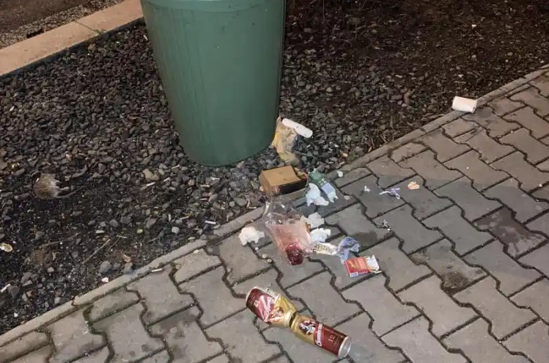 bordel je pak všude kolem