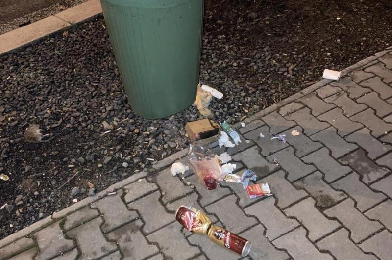 bordel je pak všude kolem