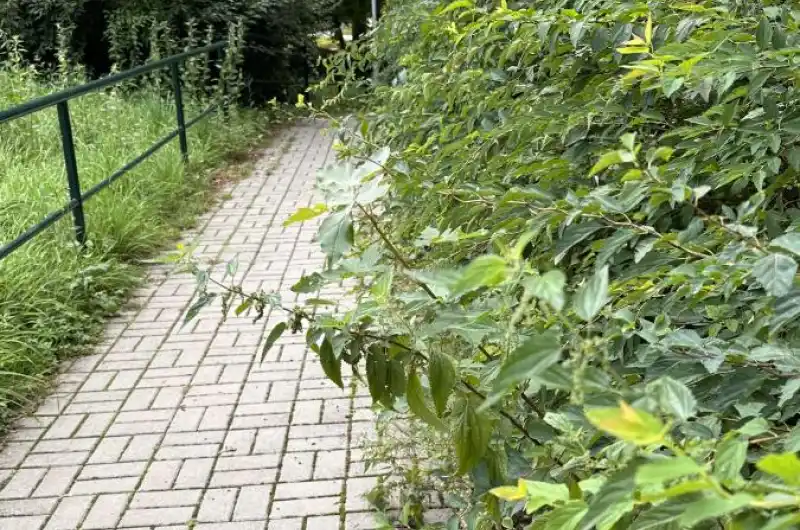 B